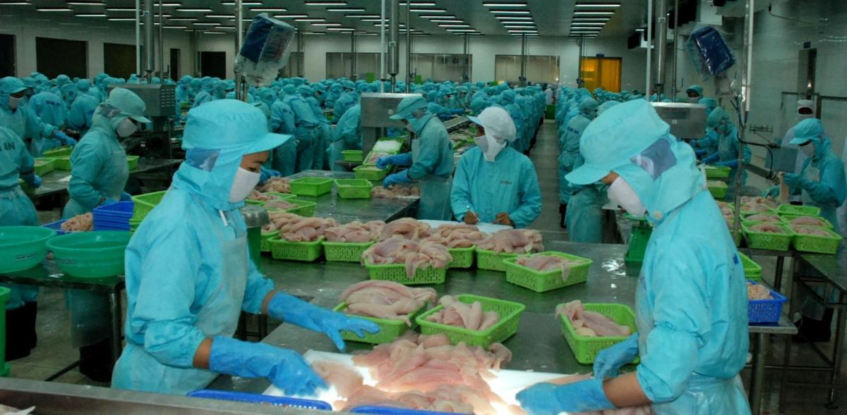 NEW ZEALAND TĂNG NHẬP KHẨU NÔNG SẢN, THỦY HẢI SẢN VN