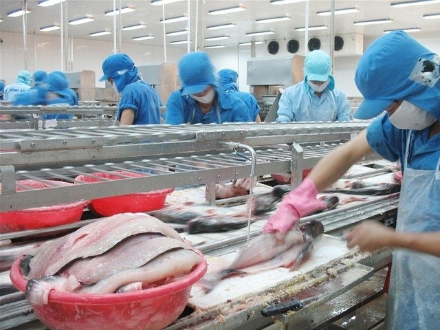 XUẤT KHẨU CÁ TRA, MỘT NĂM ĐẦY THÁCH THỨ