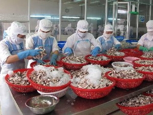 XUẤT KHẨU THỦY SẢN SANG LIÊN MINH CHÂU ÂU (EU)