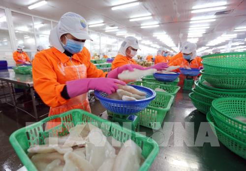 Lý do nào khiến nhập siêu ngay trong tháng đầu năm?