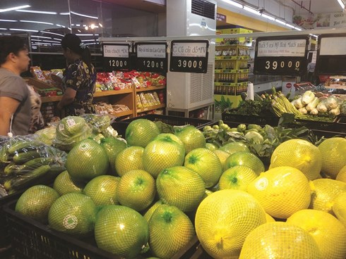 Những “gam màu hồng” của kinh tế Việt Nam 2019
