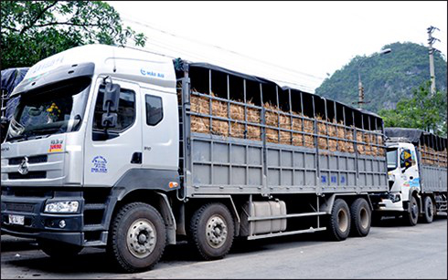 Lạng Sơn: Phân luồng giao thông, đảm bảo hàng hóa xuất khẩu thông suốt