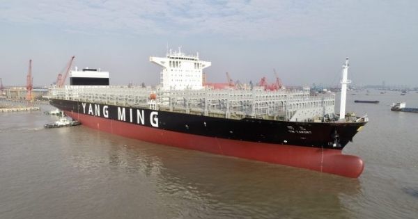 Yang Ming triển khai thêm tàu mới 11.000TEU trên tuyến xuyên Thái Bình Dương