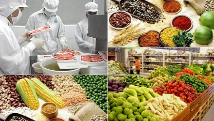 QUY ĐỊNH VỀ DÁN NHÃN BẮT BUỘC ĐỐI VỚI HÀNG THỰC PHẨM Ở NHẬT BẢN