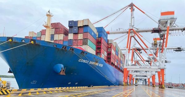 Cảng TCTT đón thành công tàu COSCO SHIPPING ROSE có mớn nước kỷ lục 15,8m