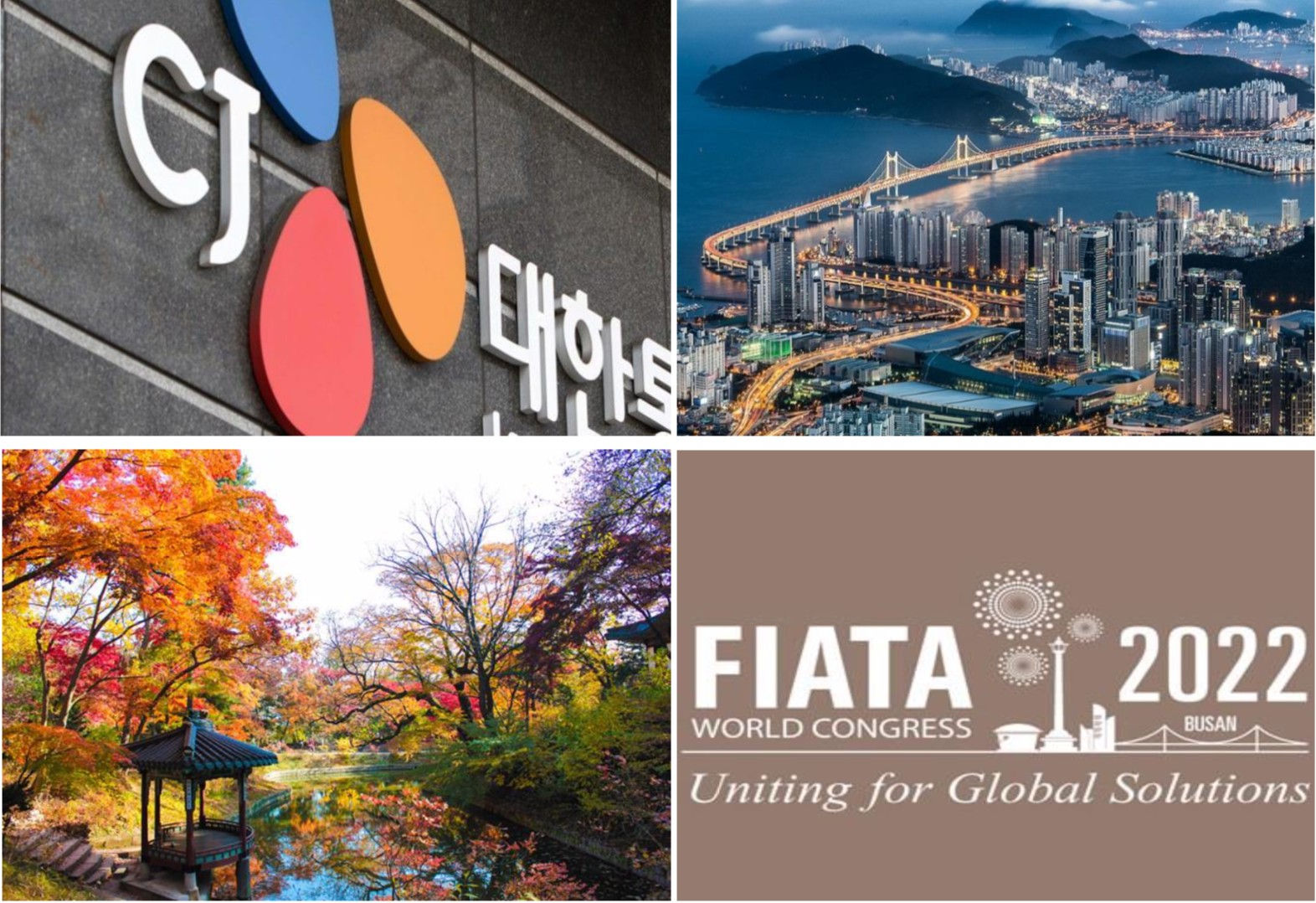 VLA quyết tâm giành quyền đăng cai FIATA World Congress 2025