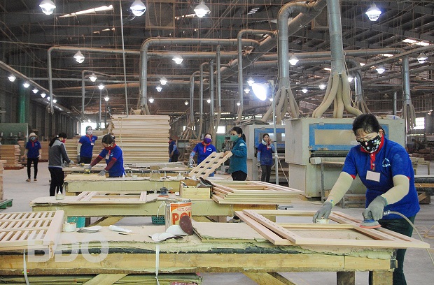 Bình Định có thêm nhà máy chế biến gỗ xuất khẩu 8.500 tấn/năm