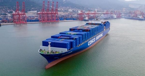 Doanh thu của COSCO tăng trưởng 37% trong 9 tháng đầu năm