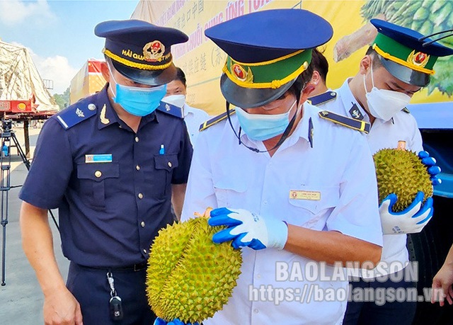 Lạng Sơn: Xuất khẩu hoa quả qua 5 cửa khẩu tăng mạnh