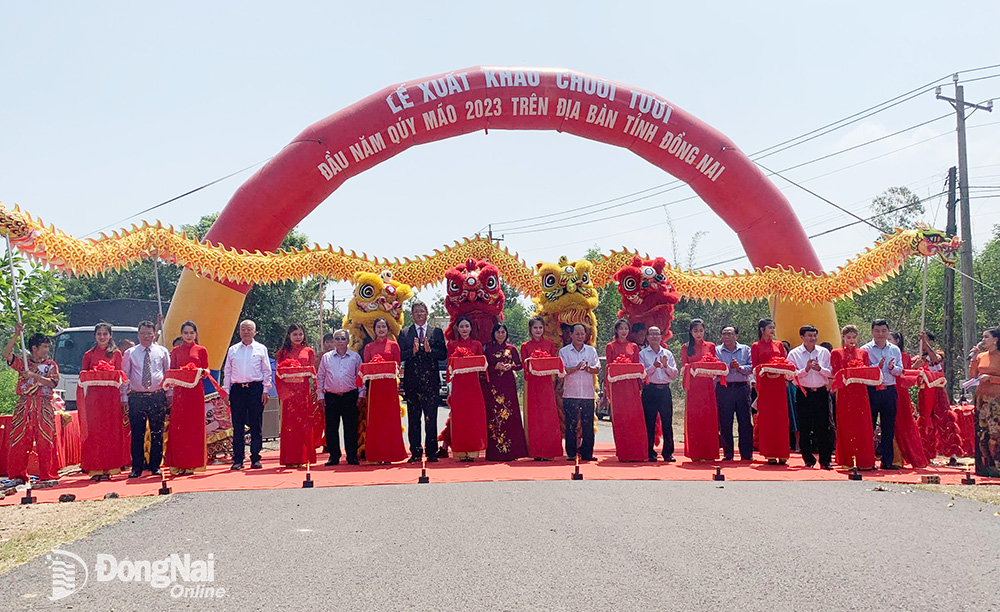 Đồng Nai xuất khẩu lô chuối tươi đầu tiên trong năm 2023