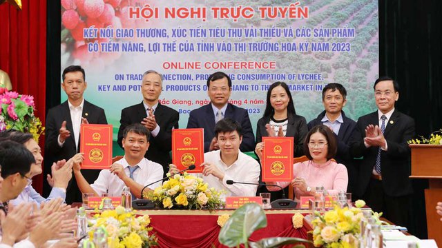 Bắc Giang: Phấn đấu xuất khẩu 1.500 tấn vải thiều sang thị trường Mỹ
