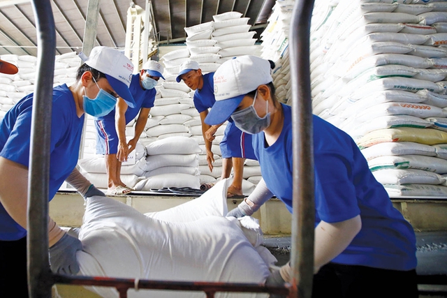 Tạo thuận lợi cho xuất khẩu gạo từ nay đến cuối năm