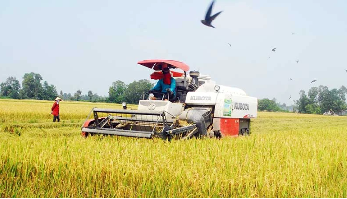 Thắng lợi kép từ vụ lúa năm 2023