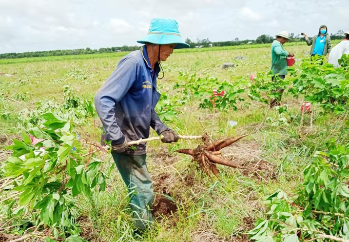 Người Khmer Bán Hàng Qua Mạng
