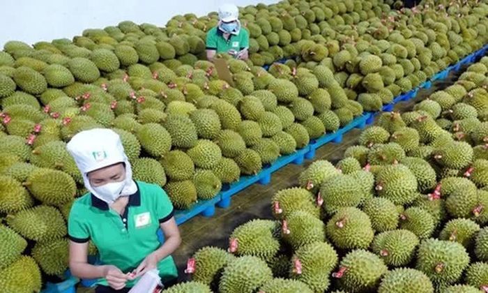 Tiếp đà tăng trưởng xuất khẩu nông sản