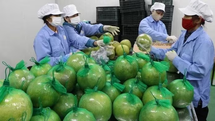 Nhiều dư địa cho doanh nghiệp Việt mở rộng thị phần tại thị trường Anh