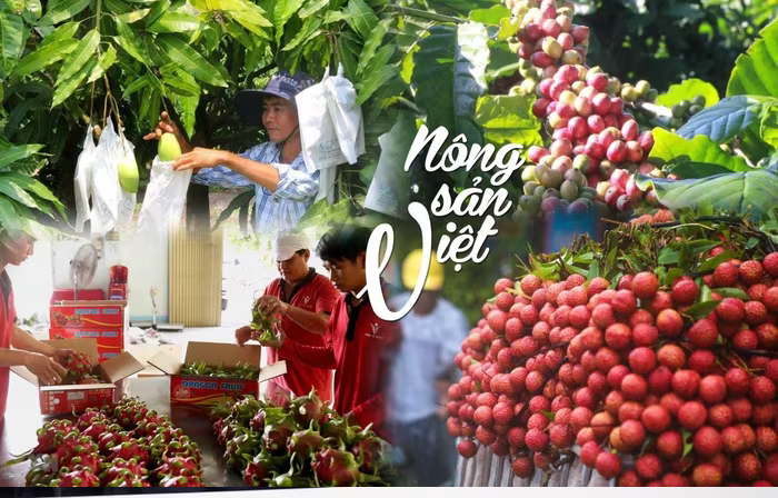 Đề xuất những giải pháp chiến lược, đồng bộ nhằm đưa nông sản Việt vươn xa
