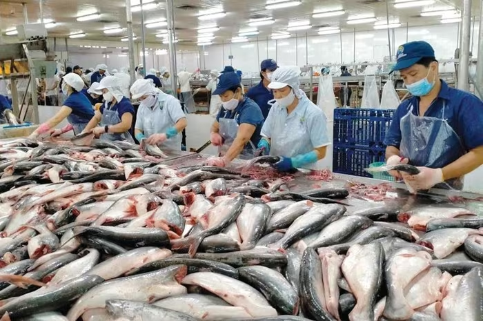 Xuất khẩu thủy sản sang Mỹ suy giảm mạnh trong tháng 6/2025