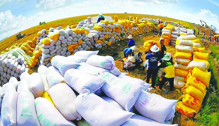 Xuất khẩu nông sản bứt phá mạnh mẽ